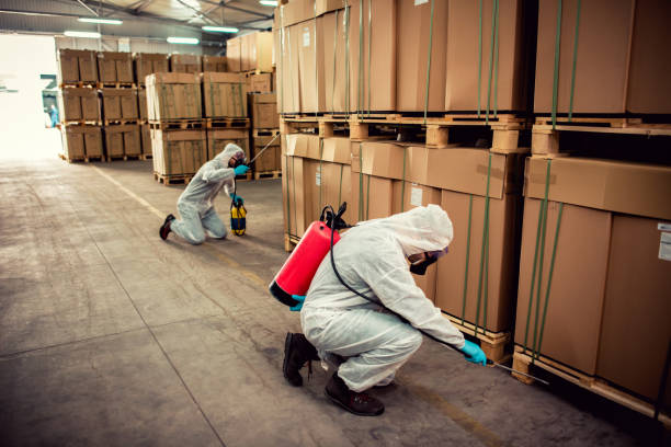 Best Cockroach Control Services  in Country Club Hls, IL