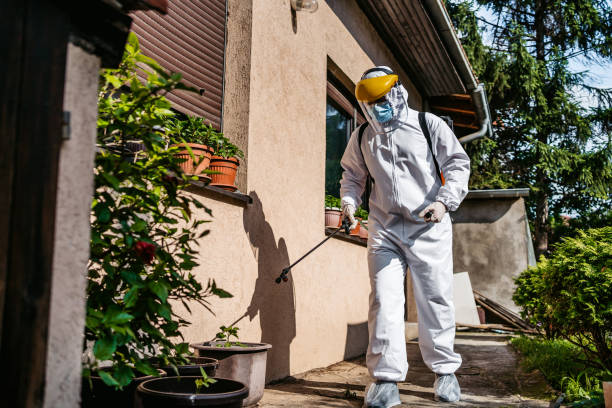 Reliable Country Club Hills, IL Pest Control Solutions
