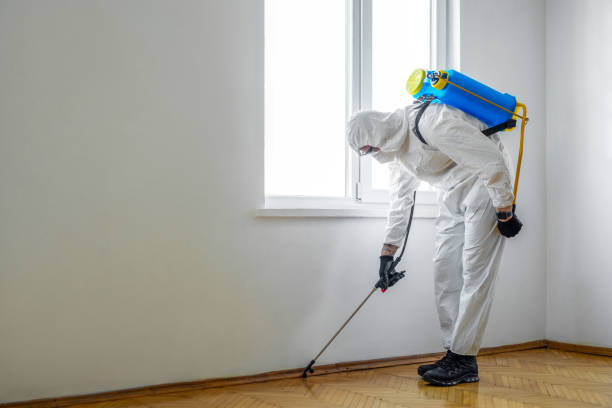 Best Emergency Pest Control  in Country Club Hls, IL