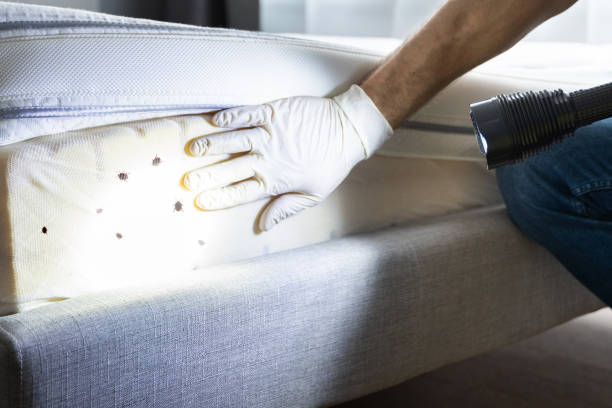 Best Pest Inspection Near Me  in Country Club Hls, IL