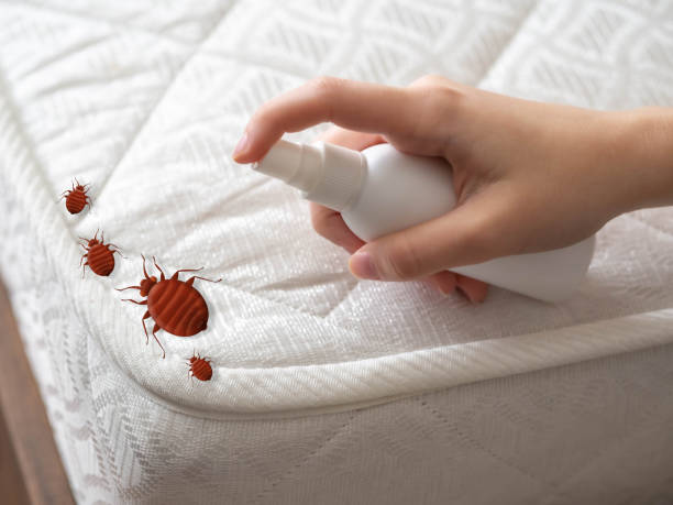  Country Club Hls, IL Pest Control Pros