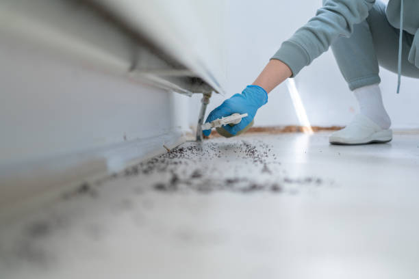 Best Pest Prevention Services  in Country Club Hls, IL